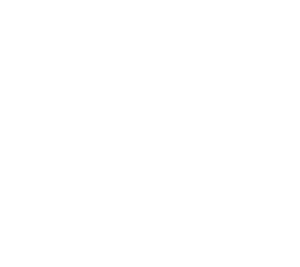 lookout security white logo